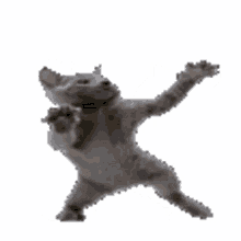 cat pls dancing