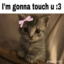 a kitten with a pink bow on its head and the caption i 'm gonna touch u : 3