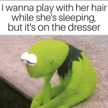 Kermit Meme Frog Meme GIF