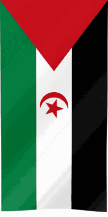 rasd maroc flag of western sahara