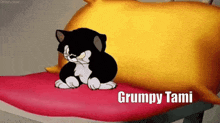 a black and white cat is sitting on a red pillow with the words grumpy tami written below it