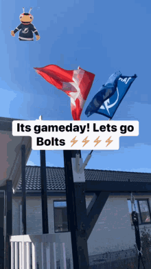 Game Day Lets GIF - Game Day Lets Go Bolts GIFs