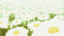 Daisy Garden GIF - Daisy Garden Swaying GIFs