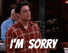 I'M Sorry Joey GIF - I'M Sorry Joey Joey Tribbiani GIFs