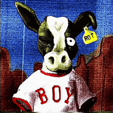 a cow is wearing a shirt that says boy