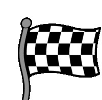 Sampsoid Checkered Flag Sticker - Sampsoid Checkered Flag Stickers