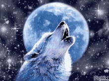 Cold Wolf GIF - Cold Wolf Moon GIFs