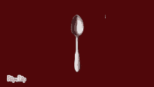 Spoon Coming Soon GIF