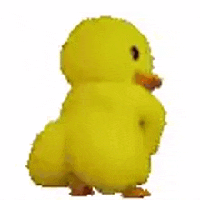 Pato Dançando GIF - Pato Dançando Duck GIFs