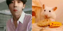 Hyunjae Hyunjae Eating GIF - Hyunjae Hyunjae Eating Hyunjae Hamster GIFs