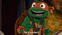 a teenage mutant ninja turtle says " this is perfect "