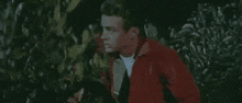 Rebel Without A Cause James Dean GIF