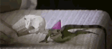 Lizard Lizardicecream GIF - Lizard Lizardicecream Icecream GIFs