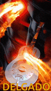 a guitar with flames coming out of it and the word delgado