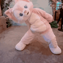 a stuffed animal in a pink and white cat costume is standing on its hind legs .