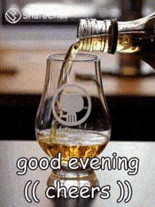 Good Evening Cheers GIF - Good Evening Cheers शराब GIFs