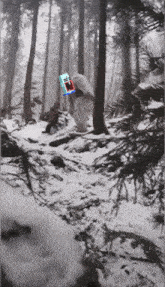 a snowy forest with a person carrying a box that says ' i love you '