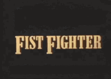 Fist Fighter GIF - Fist Fighter Trailer GIFs