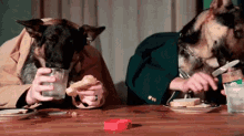 Dogs Eating GIF - Peanut Peanut Butter Eat GIFs
