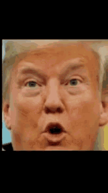 Trump Donald GIF - Trump Donald Potus GIFs