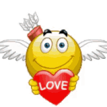 i love you cupid flying ily love cupid