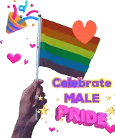 a hand holding a rainbow flag with the words " celebrate male pride " above it