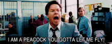 the other guys mark wahlberg terry hoitz i am a peacock you gotta let me fly