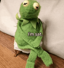 a kermit the frog is sitting on a chair with the words i 'm sat below him