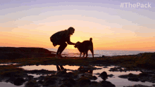 Playing The Pack GIF - Playing The Pack Play With The Dog GIFs