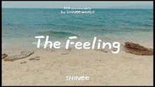 Shinee Shinee The Feeling GIF - Shinee Shinee The Feeling Shinee 15th GIFs