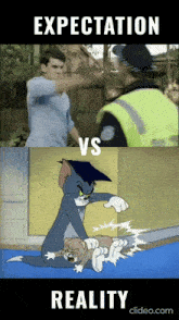a cartoon of tom and jerry with the words expectation vs reality below them