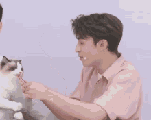 a man in a pink shirt is feeding a cat
