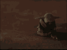 a baby yoda is standing next to a small frog on the ground .