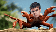 a crab with a man 's face on it 's claws