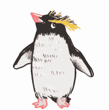 penguin natelle