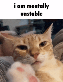 Mentally Unstable Funny GIF - Mentally Unstable Funny Lick GIFs