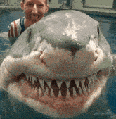 a woman is standing next to a shark that is looking at the camera