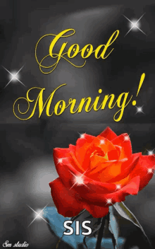 Good Morning Rose GIF - Good Morning Rose Flower GIFs