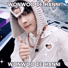 Wonwoodehanni Wonwoohanni GIF - Wonwoodehanni Wonwoohanni Hanniwonwoo GIFs