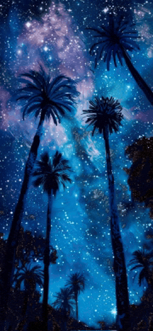 palm trees against a starry night sky with a galaxy in the background