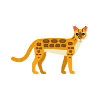 Cheetah Walk Sticker - Cheetah Walk Stickers