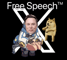 Elon Musk Bridget GIF