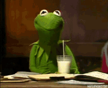 kermit but thats none of my business none of my business milk drinking milk