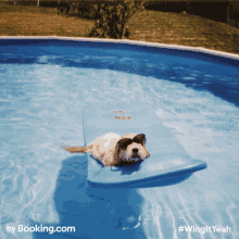 Who Won Booking Summer GIF - Who Won Booking Summer Booking Com GIFs