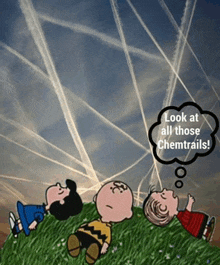 a cartoon of charlie brown looking up at chemtrails with a thought bubble that says look at all those chemtrails