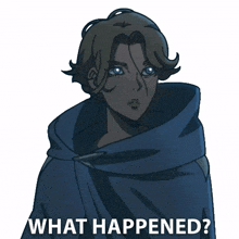 what happened sypha belnades castlevania can you tell me what happened what in the world happened
