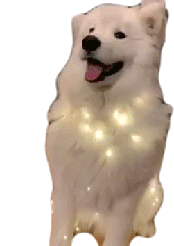 Dog Lights Sticker - Dog Lights Shaking Ears Stickers