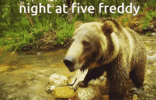 Freddy Fnaf Fnaf GIF - Freddy Fnaf Fnaf Bear GIFs