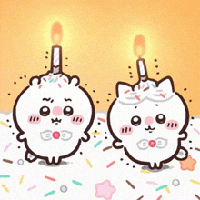 two cartoon cats with candles on their heads standing next to each other