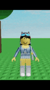 a roblox character wearing a cat ear headband and sunglasses is standing in a field .